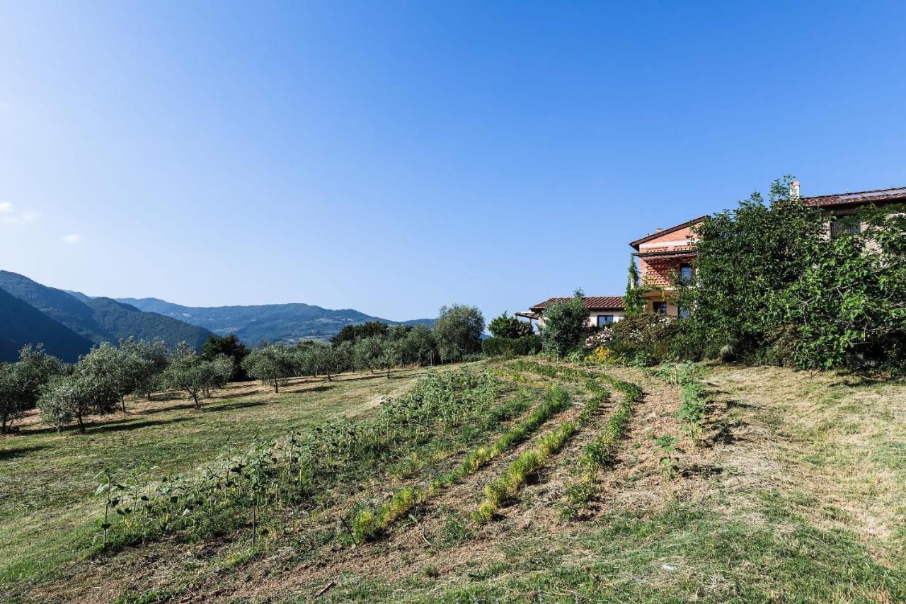 Agriturismo La Fontaccia Rufina Exterior photo