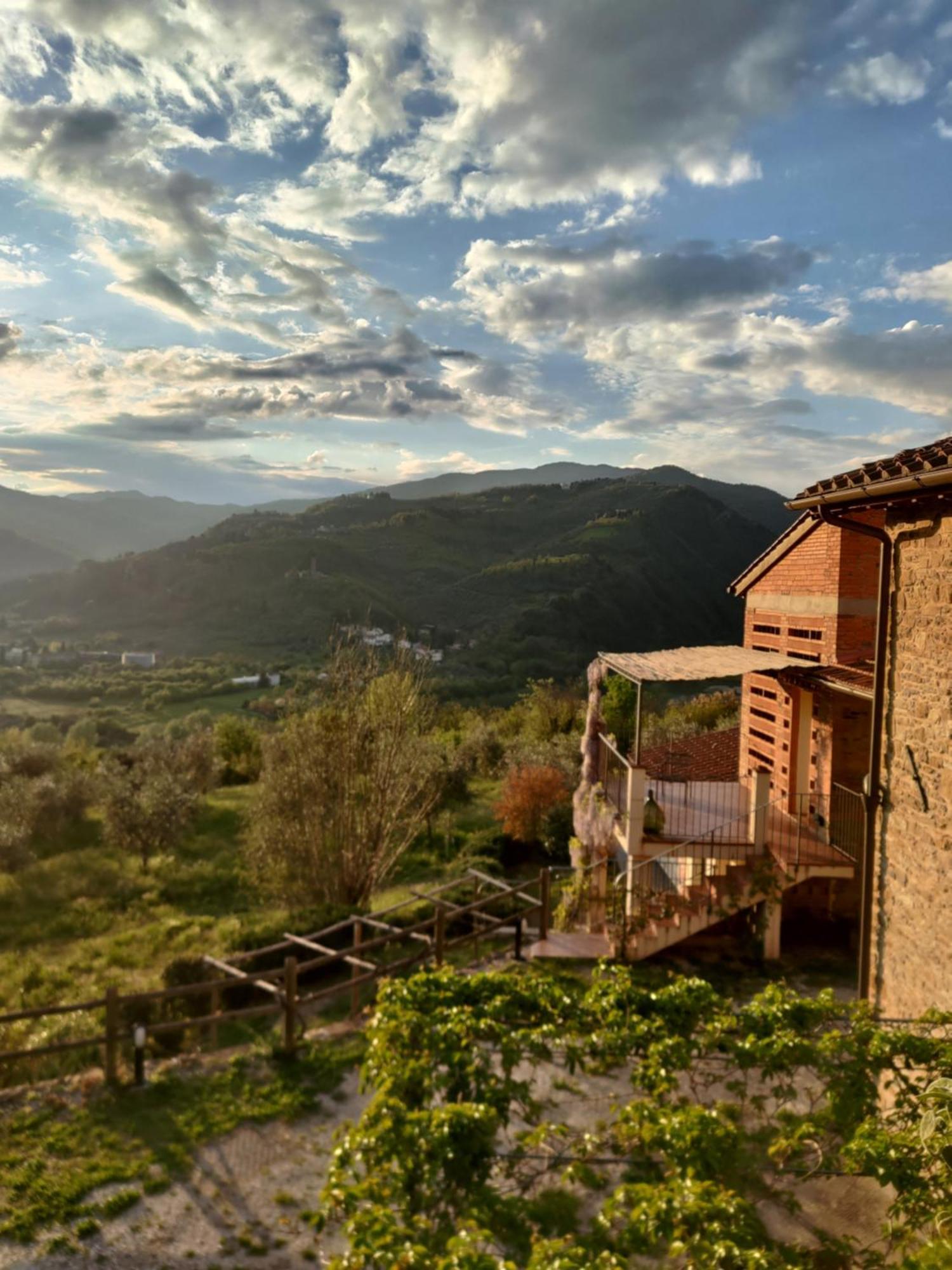 Agriturismo La Fontaccia Rufina Exterior photo
